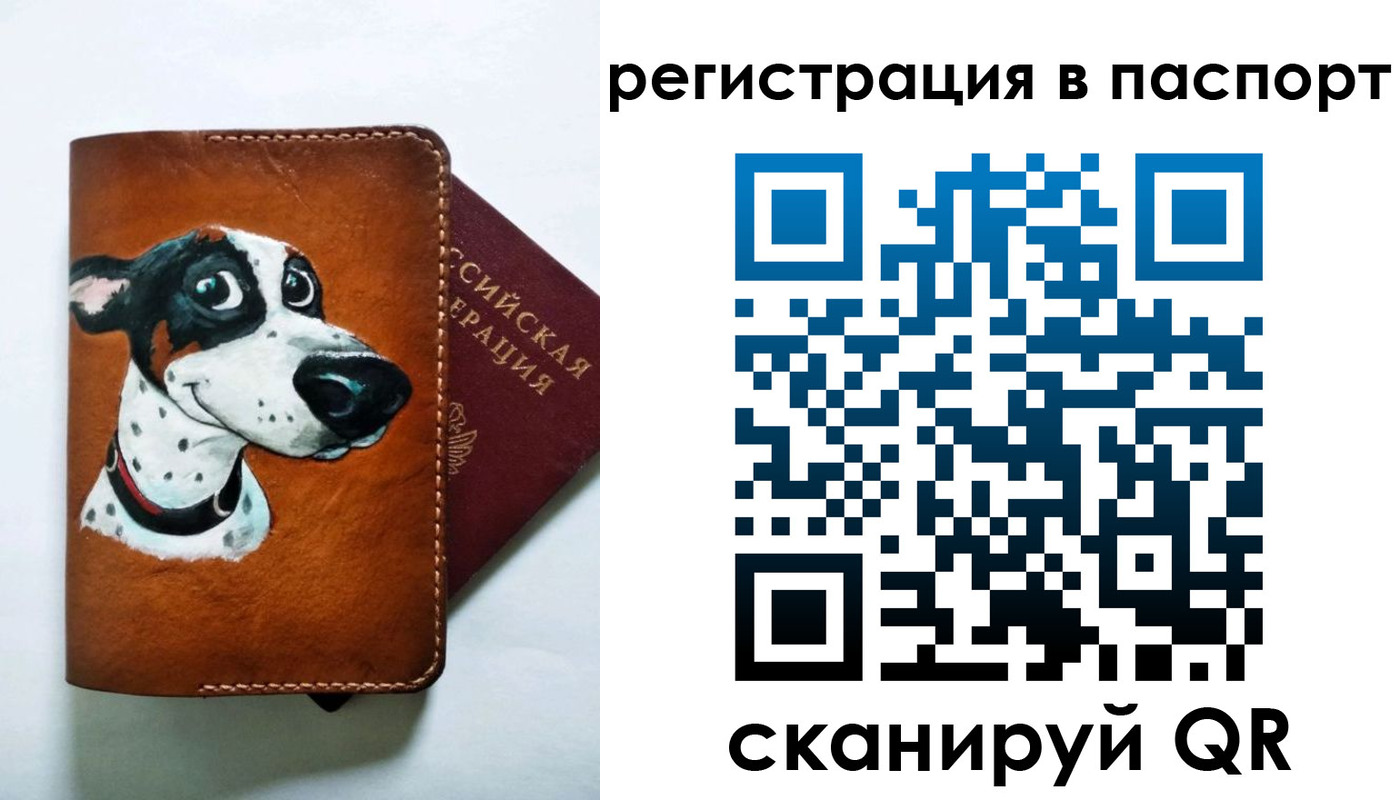 прописка штамп в Волгограде